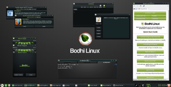 Bodhi Linuxの画像