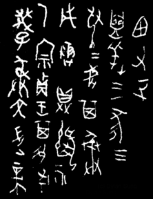 甲骨文字の画像