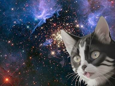 宇宙猫の画像