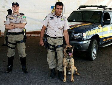 警察犬の画像