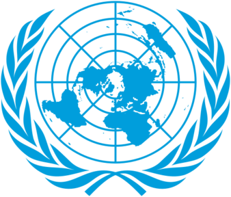 国際的な組織犯罪の防止に関する国際連合条約の画像
